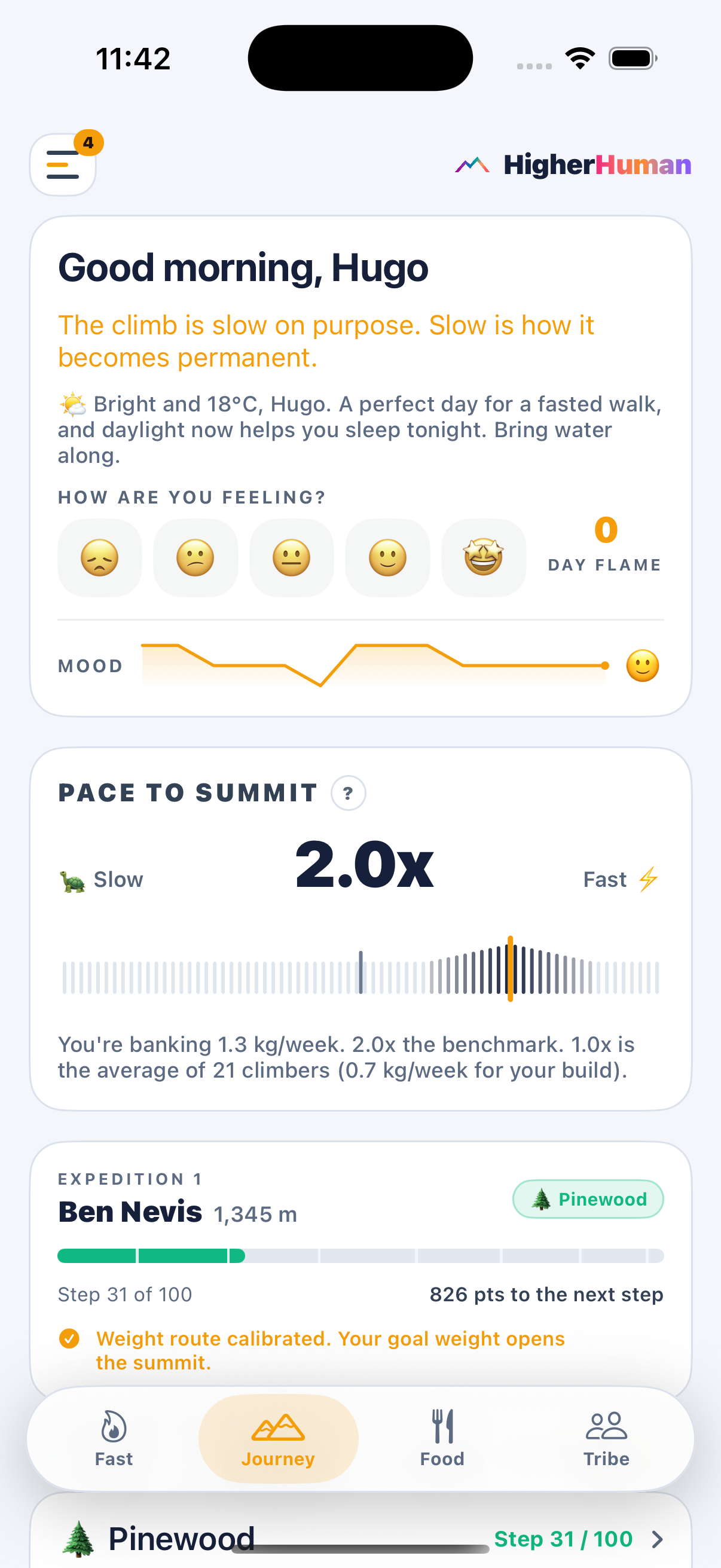 Higher Human journey pace to summit and expedition progress